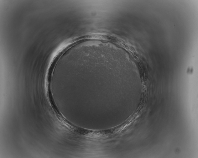 X0000097990294200804071159