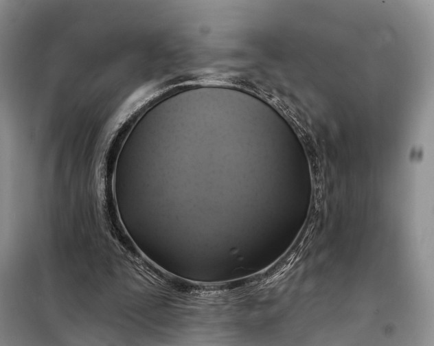 X0000097990295200804071159