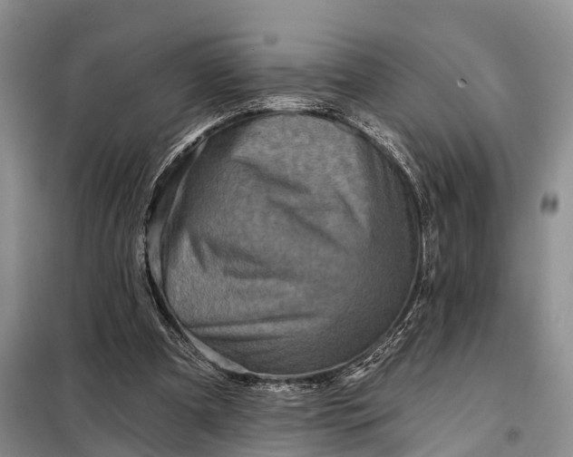 X0000097990297200804071159