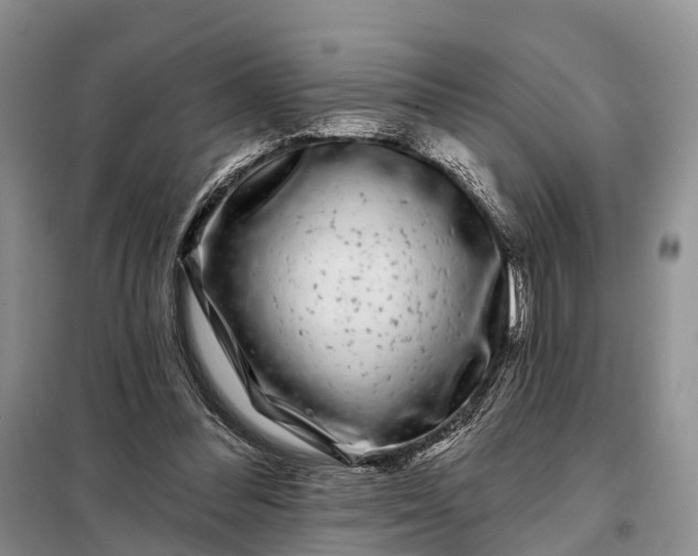 X0000097990300200804071159