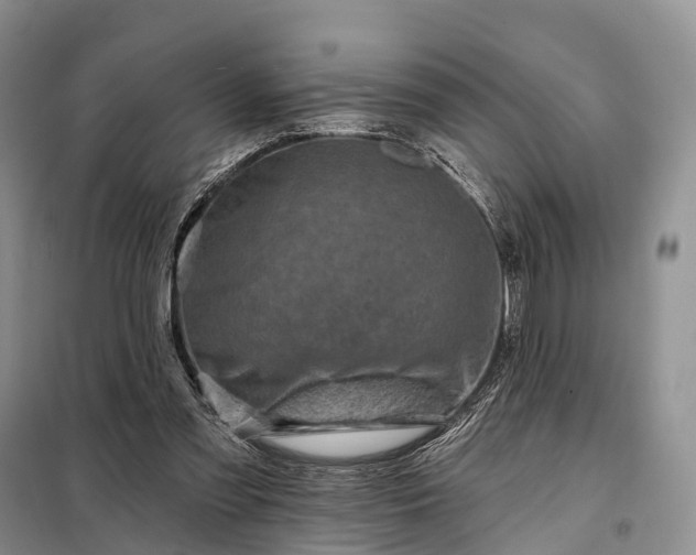 X0000097990301200804071159