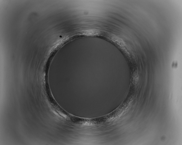 X0000097990303200804071159
