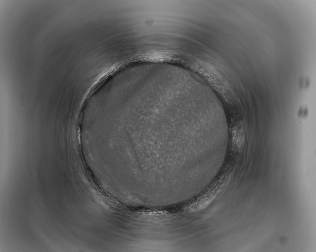 X0000097990304200804071159