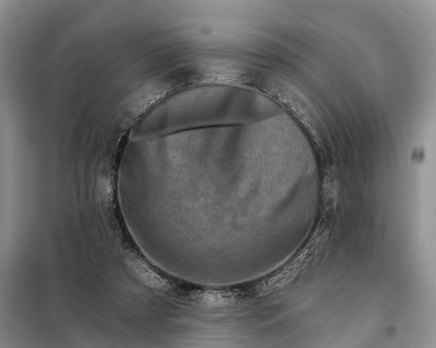 X0000097990305200804071159