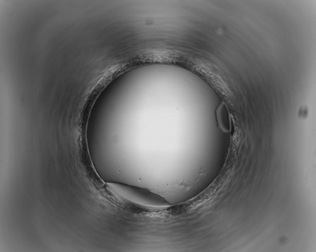 X0000097990306200804071159