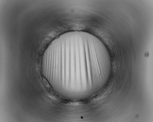 X0000097990307200804071159