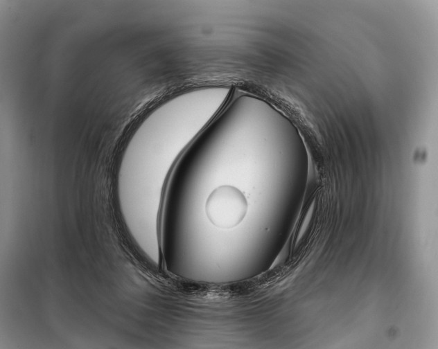 X0000097990308200804071159