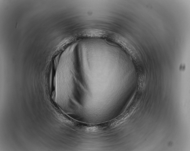 X0000097990309200804071159