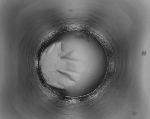 X0000097990310200804071159
