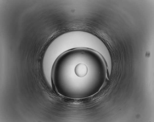 X0000097990312200804071159
