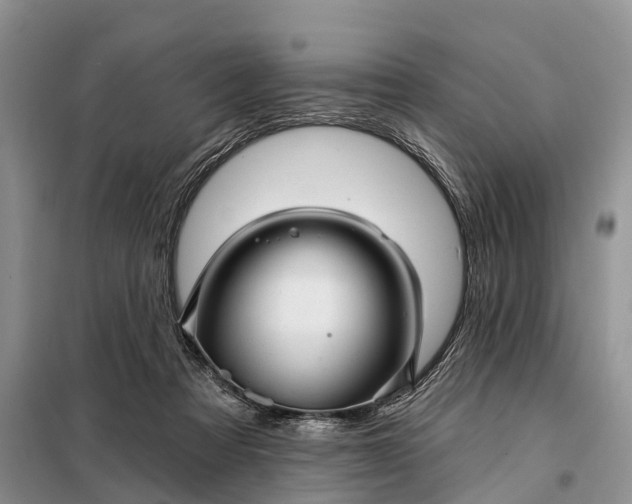 X0000097990313200804071159
