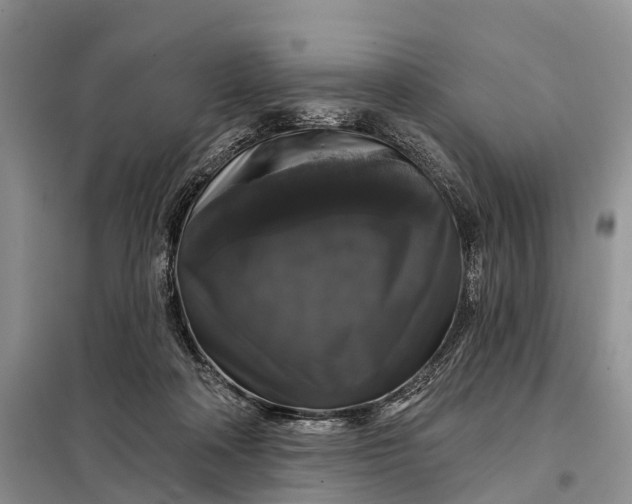 X0000097990314200804071159