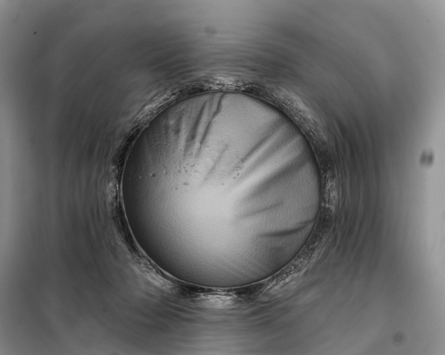 X0000097990318200804071159