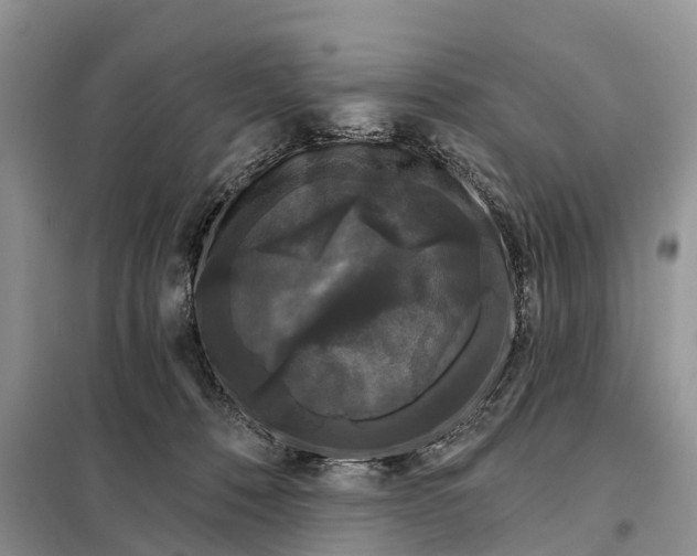 X0000097990320200804071158