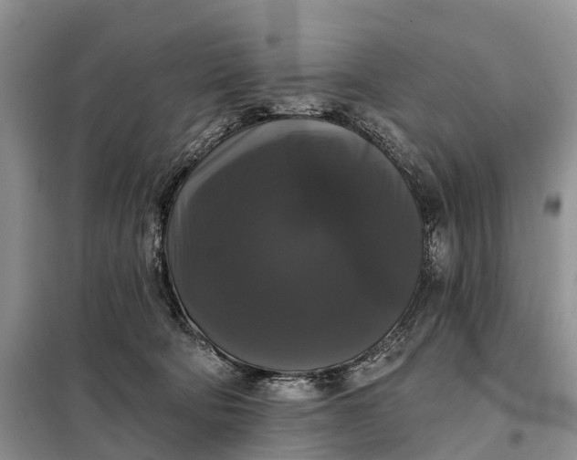 X0000097990322200804071158