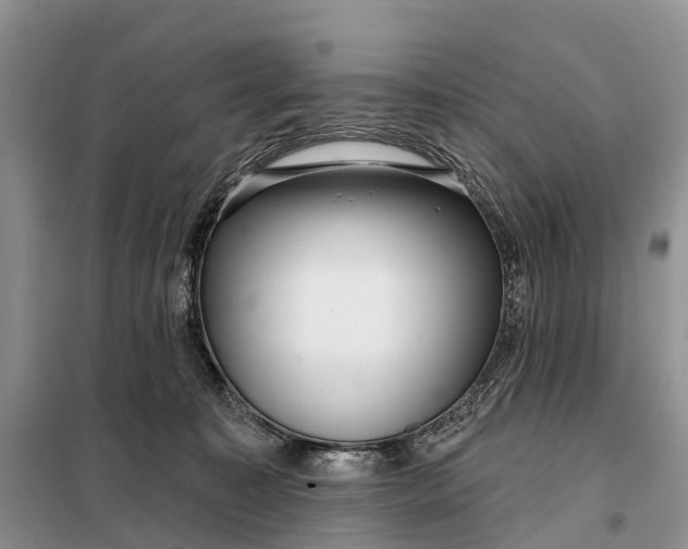 X0000097990323200804071158