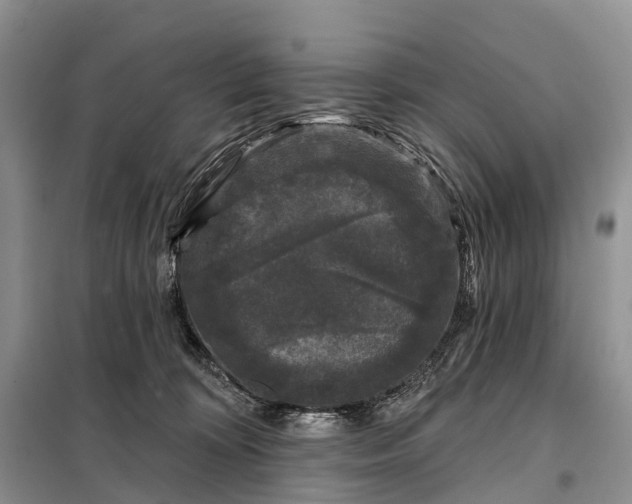 X0000097990324200804071158