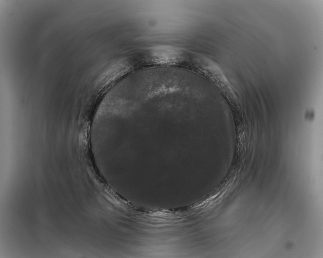 X0000097990325200804071158