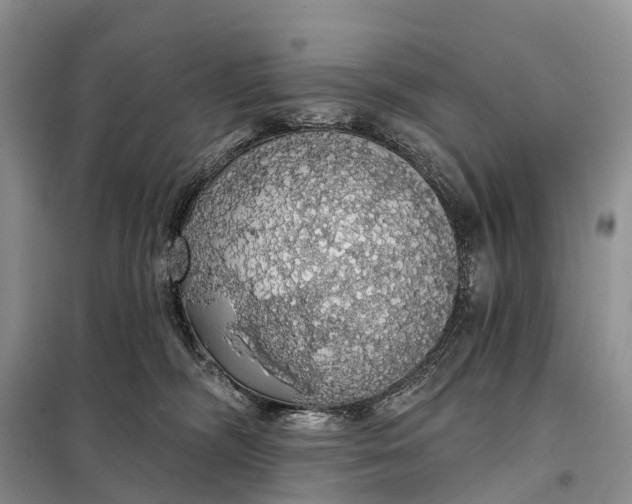 X0000097990326200804071158