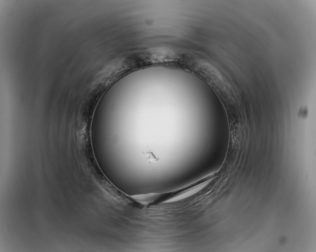 X0000097990327200804071158
