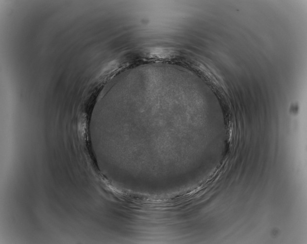 X0000097990328200804071158