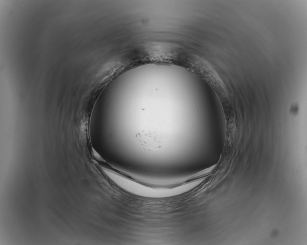 X0000097990329200804071158