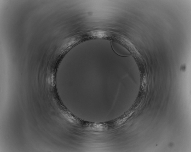 X0000097990330200804071158