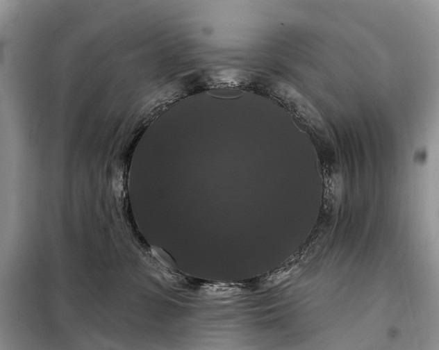 X0000097990331200804071158