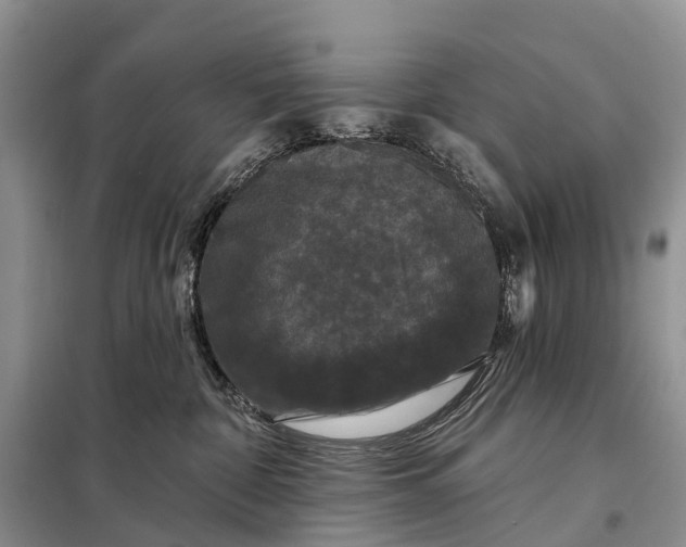 X0000097990332200804071158