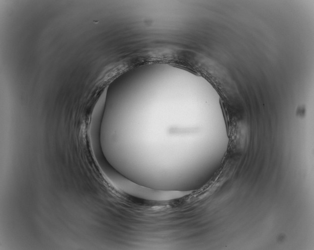 X0000097990333200804071158