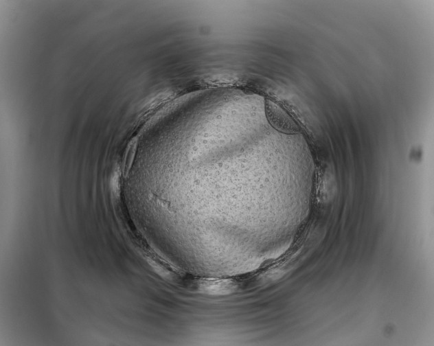 X0000097990334200804071158