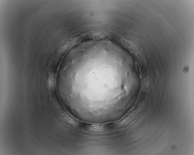 X0000097990335200804071158
