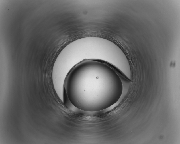 X0000097990336200804071158