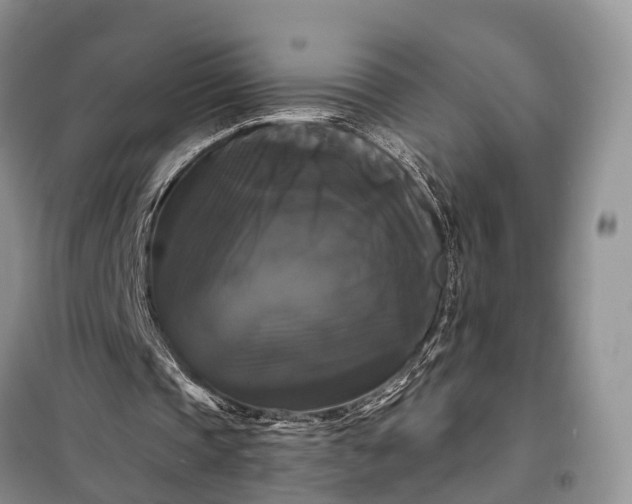 X0000097990337200804071157