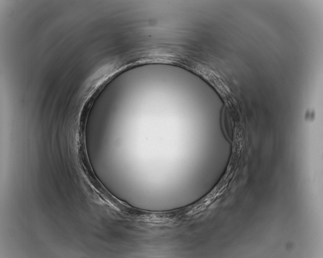 X0000097990338200804071157