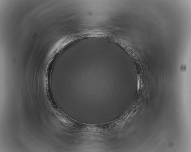 X0000097990339200804071157