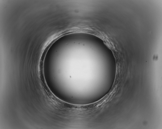 X0000097990340200804071157