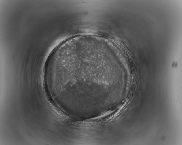 X0000097990342200804071157