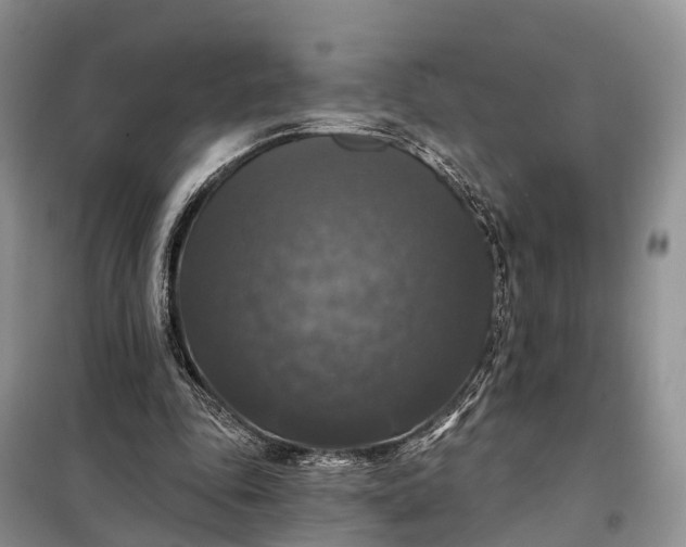 X0000097990343200804071157