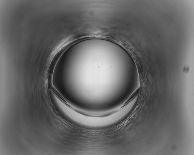 X0000097990344200804071158