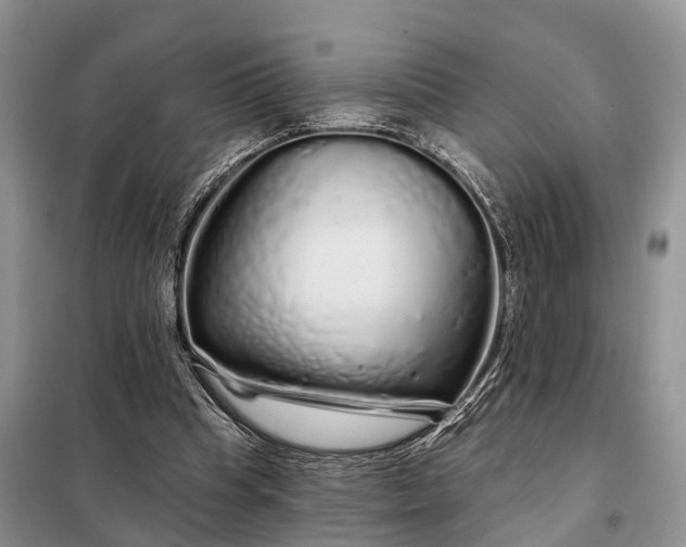 X0000097990345200804071158