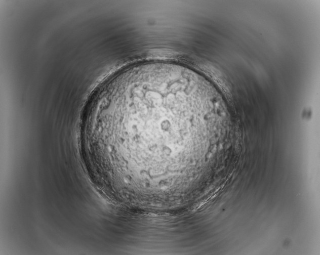 X0000097990346200804071158