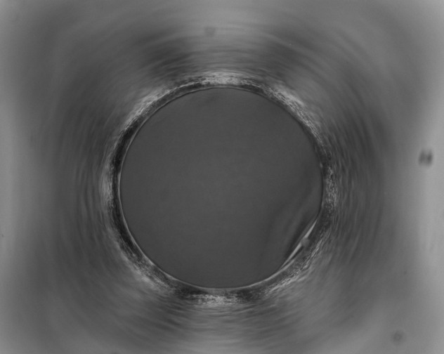 X0000097990347200804071158