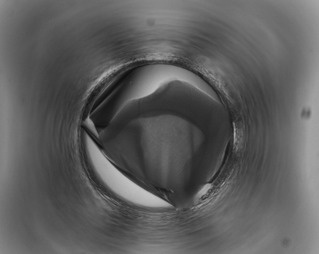 X0000097990348200804071158