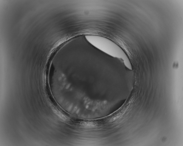 X0000097990349200804071158