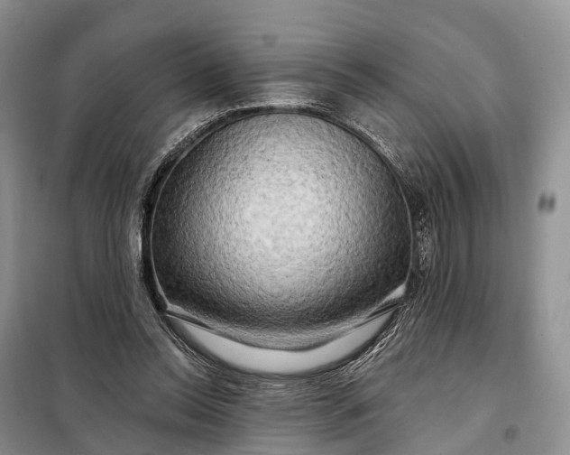 X0000097990350200804071158