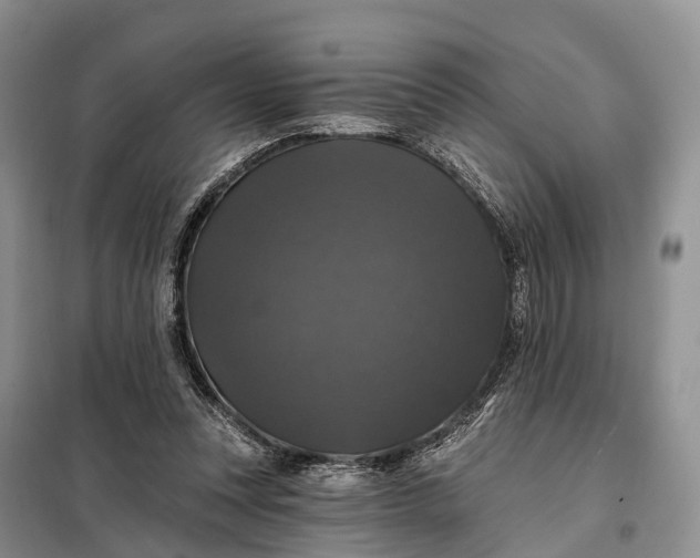 X0000097990351200804071158