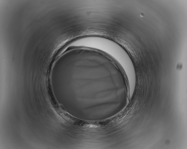 X0000097990352200804071158