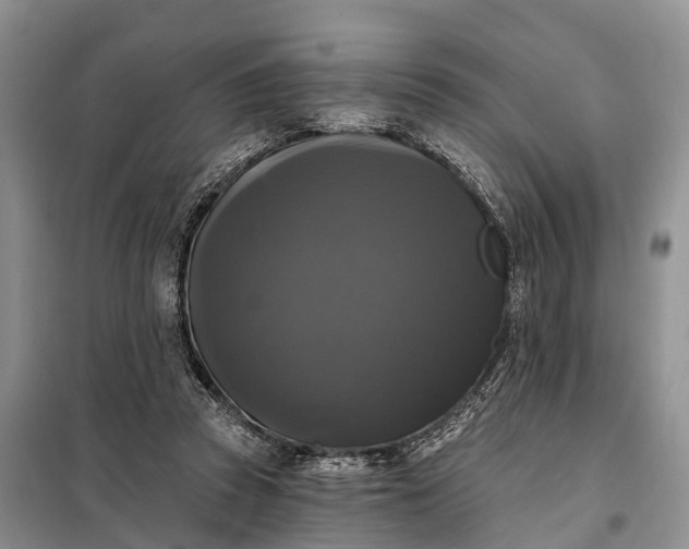 X0000097990353200804071158