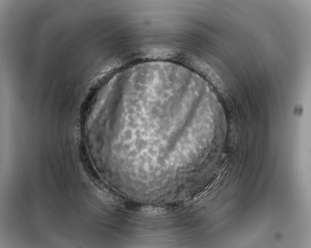 X0000097990354200804071158